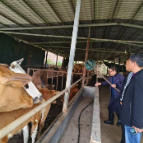 永兴县开展牛羊“瘦肉精”专项检查