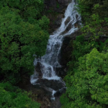 安仁：全力打造风仙谷景区 激活乡村旅游新引擎