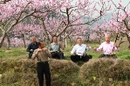 视频 | 桂东县文化艺术界：春暖花开 为你而来