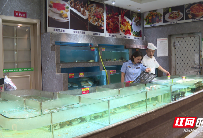 智慧监管平台上线 宜章县食品安全再添新保障