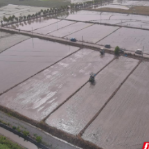 永兴：春耕“机”动 绘就农业现代化新图景