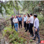 宜章：水渠修复通水了