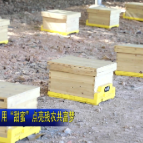 视频 | 抗癌铁人黄智勇：用“甜蜜”点亮残农共富梦