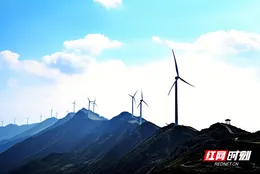组图 | 临武：撷抹春色解乡愁