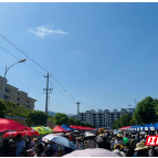 桂东县大塘站村厨大赛圆满落幕
