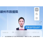 郴州：不动产登记服务迈入AI新时代