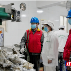 国网苏仙区供电公司：电力护航乌米棕走出古村