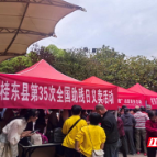 桂东：爱心义卖 携手同行
