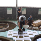永兴县：鱼苗出苗高峰至 产业兴旺惠民生