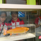 资兴：学生走进移民博物馆 迎接国际博物馆日