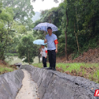 北湖区全面筑牢公园游园汛期安全“防护墙”