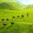 北湖的TA们，亮相中国旅游日活动现场