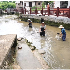嘉禾县石桥镇白珠村：党建引领破“空”局 乡贤聚力绘就新图景