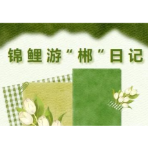 锦鲤游“郴”日记：“chen”年轻，来郴看看！