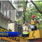 视频 | 北湖区园林绿化服务中心：除治病危树木 守护居民安全