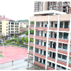 视频 | 从荒芜到繁花：龙霞的诗意教育之旅