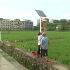 宜章县：杀虫灯“上岗” 为水稻护航
