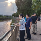 临武南强镇人大：闻“汛”而动 筑牢防汛安全屏障
