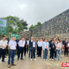 临武人大：以法治之力绘就生态“绿”答卷