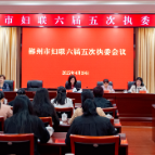 郴州市妇联首期“执委课堂”开讲