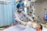 生命线上的守夜人——记湘南学院附属医院ICU护士牛丹的11年坚守