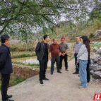 临武人大：双向“联”动 共解水库治污难题