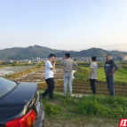 临武：干群一心解春耕难题