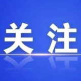 大湾区沉浸式培训日记｜湾区砺见——一名党校老师的三重认知破壁