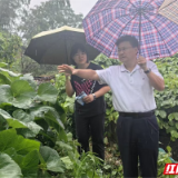 “蝴蝶”防御战告捷！