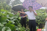 “蝴蝶”防御战告捷！