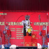 临武县举办2025年文化和自然遗产日暨戏曲文化生态保护区宣传展示活动