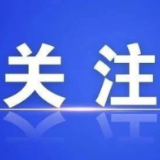 国网北湖区供电公司开展10千伏高东线监察性巡视
