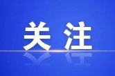 国网北湖区供电公司开展10千伏高东线监察性巡视