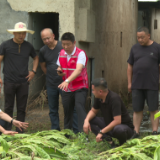 宜章:闻“汛”而动 政企携手为烟农撑起“保护伞”