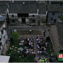 郴州市西河城乡精神文明建设融合发展示范带文明实践示范活动在桂阳举行