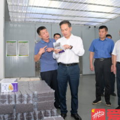 更好统筹发展和安全 确保社会大局平安稳定
