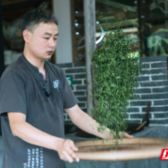 茶梦・茶心・茶缘——记“桂东工匠”欧亮煌