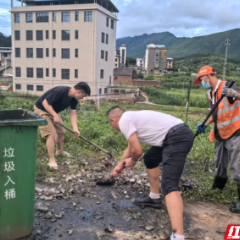 临武楚江镇：人大代表冲锋在前 助力乡村人居环境“持久美”