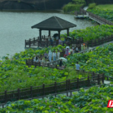 组图 | 安仁：丹霞荷花独特景引来游客热潮涌