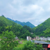 桂东：560万帮扶资金的背后故事