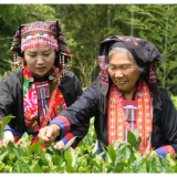 宜章莽山瑶族乡赵桥妹：瑶乡“刘三姐” 瑶歌传天下