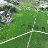 桂东：“头雁”领航 激活“一池春水”