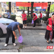 北湖区：“清洁环境 净美家园”志愿服务助力城市管理提质增效
