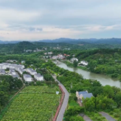 视频 | 苏仙区：白玉丝瓜喜丰收 致富又有新“丝”路