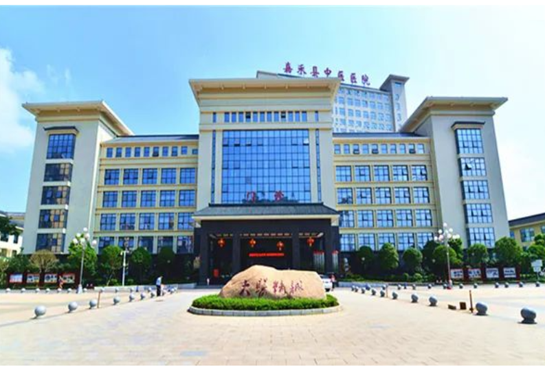 嘉禾：传承千年智慧 推进中医“落地见效”
