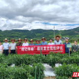 “碑记辣椒”提纯复壮成功通过专家现场评议