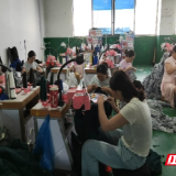 嘉禾：一针一线“绣”出产业新格局