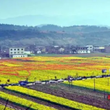 李松寿：草根抗日英雄