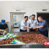 邮储银行郴州市分行“科技贷”精准滴灌药材企业