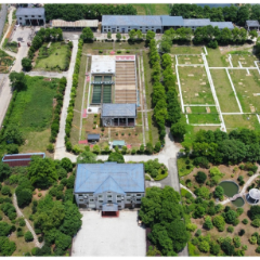 资兴市：城镇污水处理设施建设交出亮眼答卷